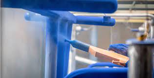 Industrial Powder Coating Services in Haryana